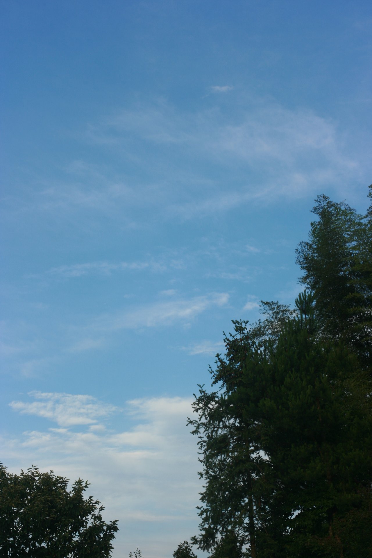 IMG_20140701_090000_018.jpg