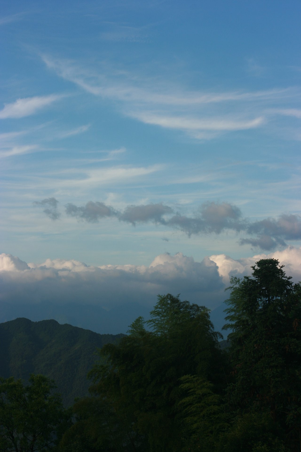 IMG_20140701_090000_023.jpg