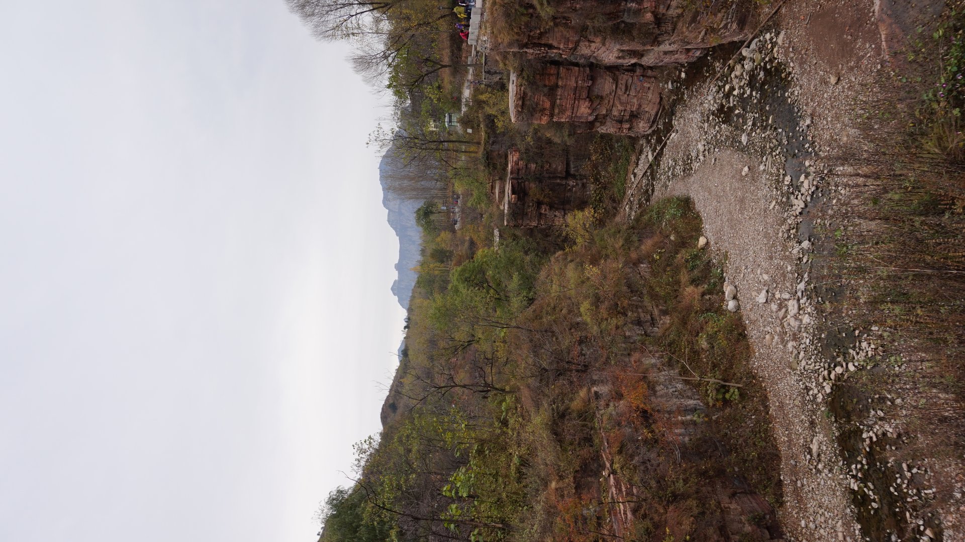 IMG_20141101_090000.jpg