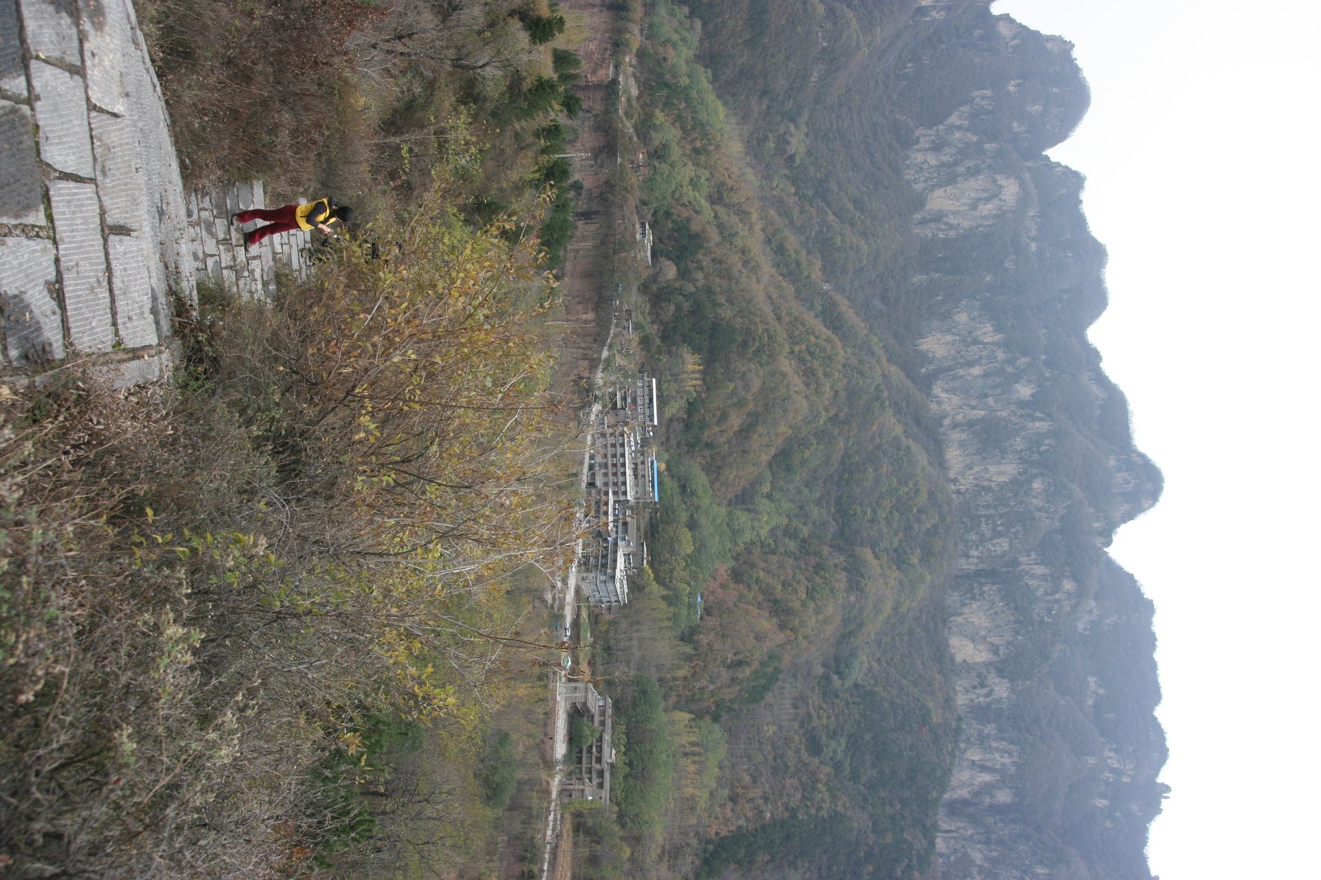 IMG_20141101_134014.jpg