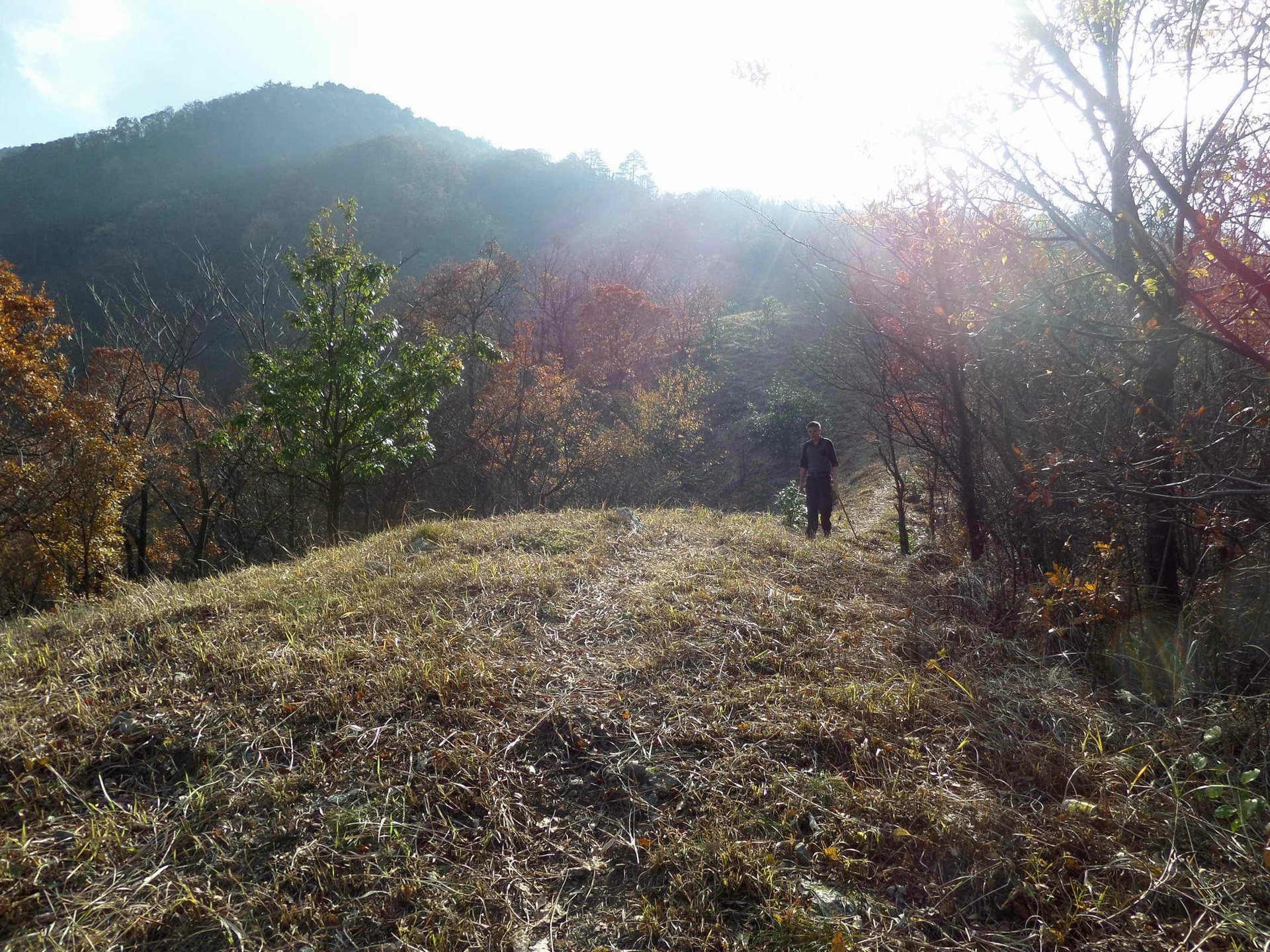 IMG_20131122_143256.jpg