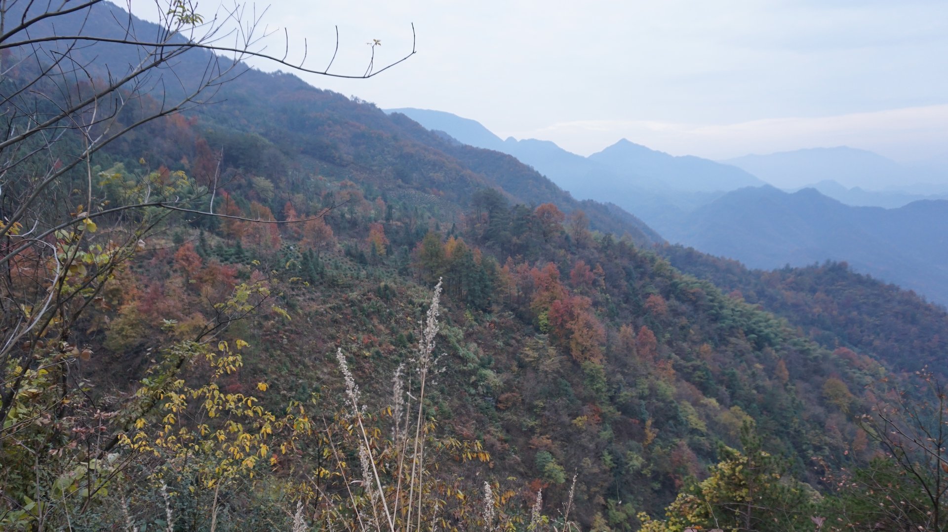 IMG_20141122_090000_001.jpg