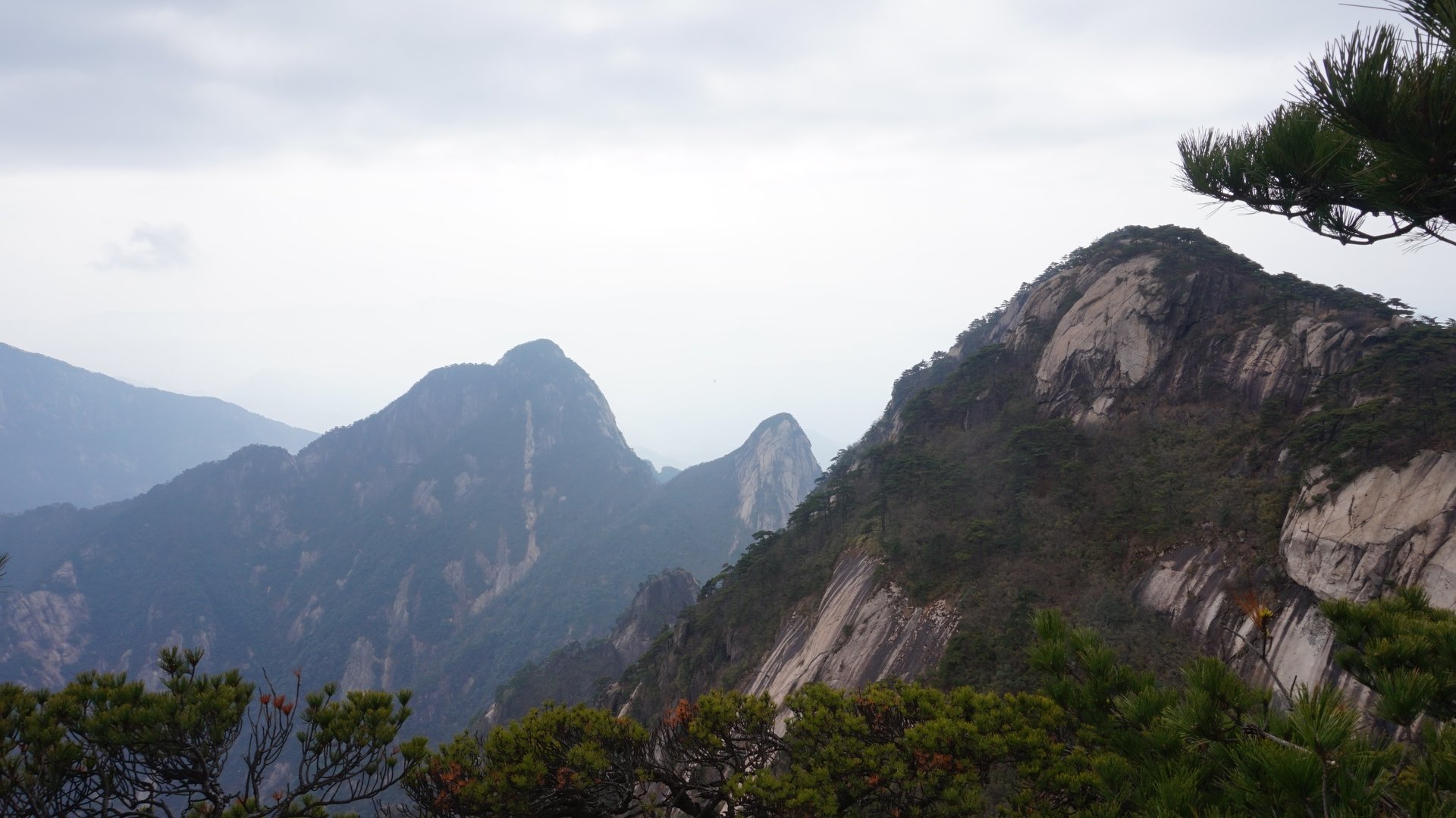 IMG_20141122_090000_005.jpg