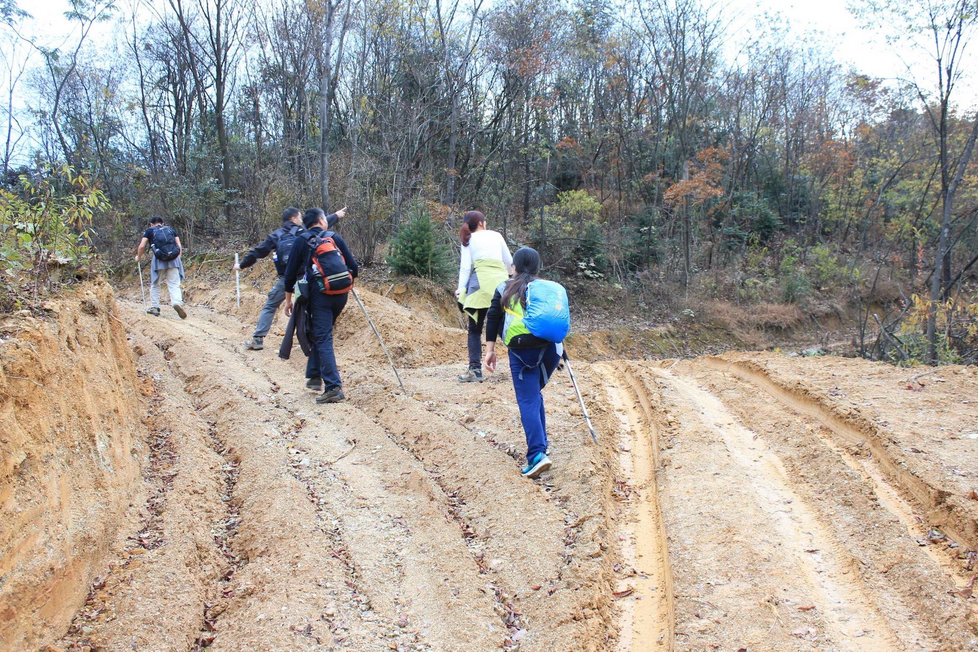 IMG_20141122_090000_057.jpg