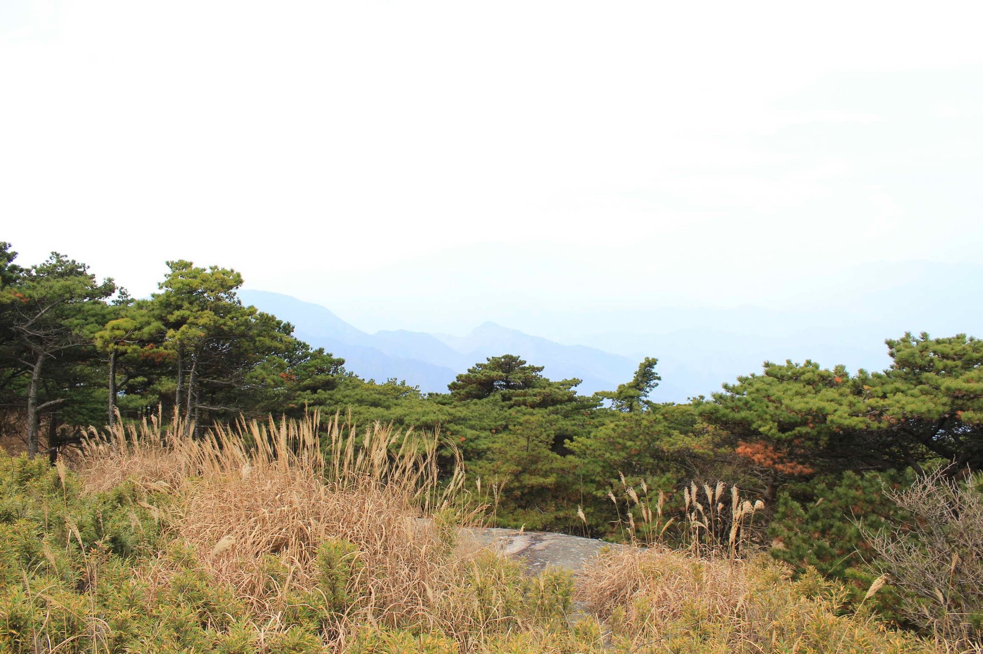 IMG_20141122_090000_073.jpg