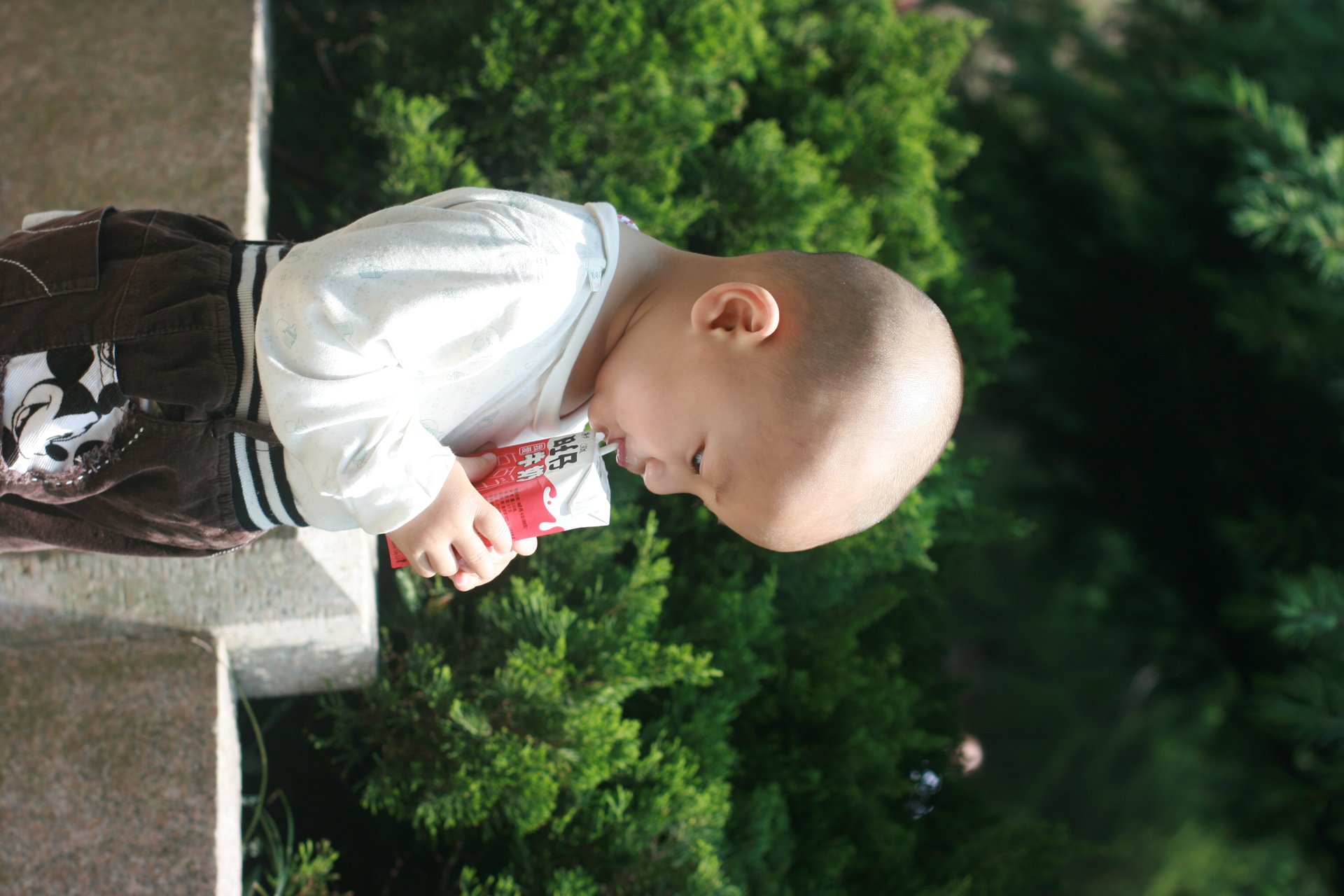 IMG_20150501_110449.jpg