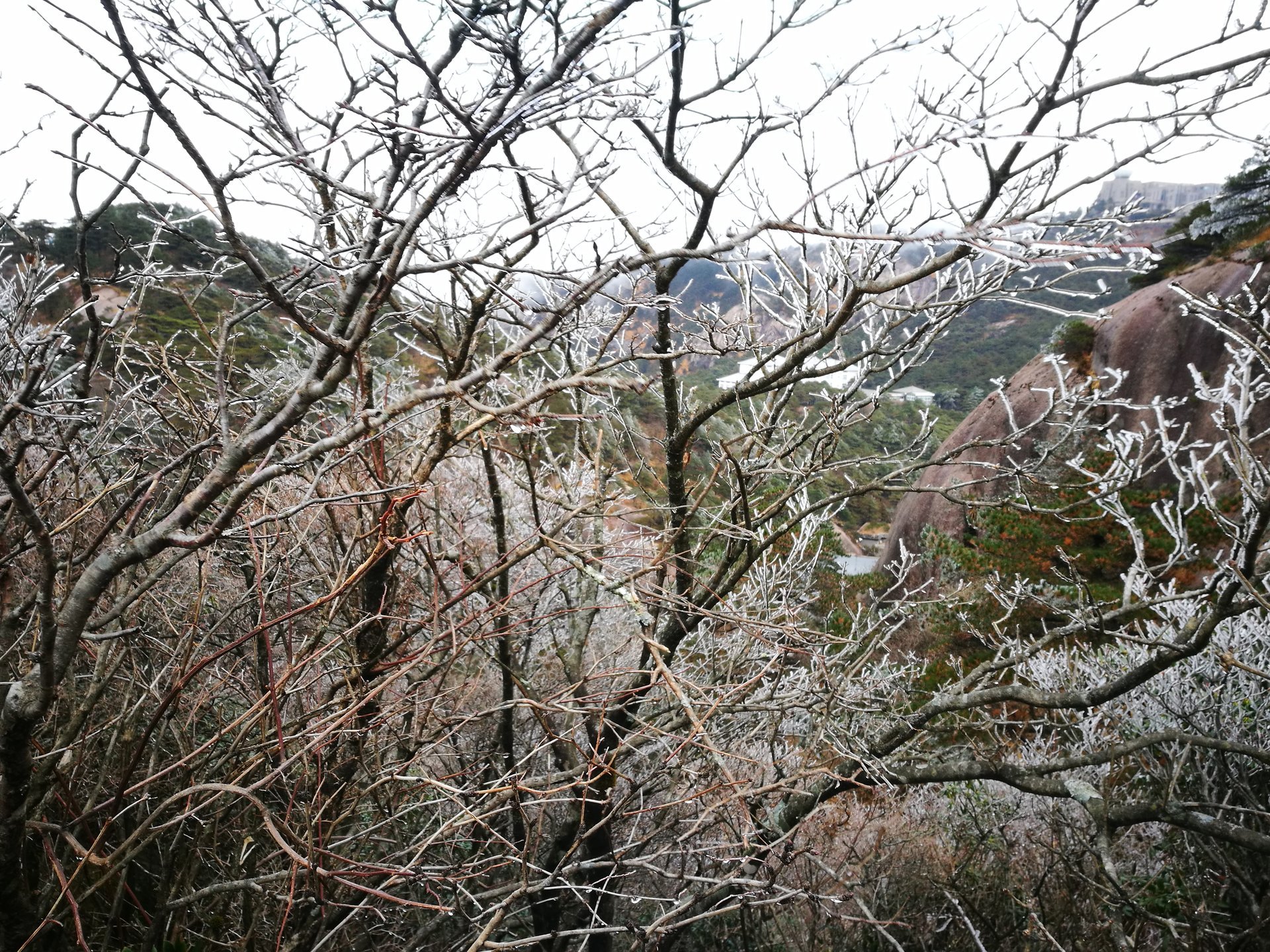 IMG_20171118_113207.jpeg