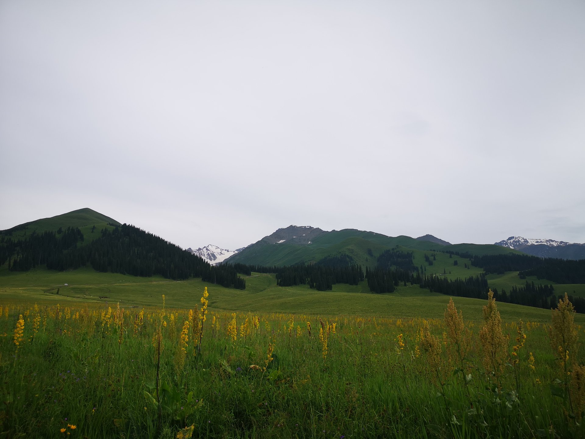 IMG_20190714_192316.jpg