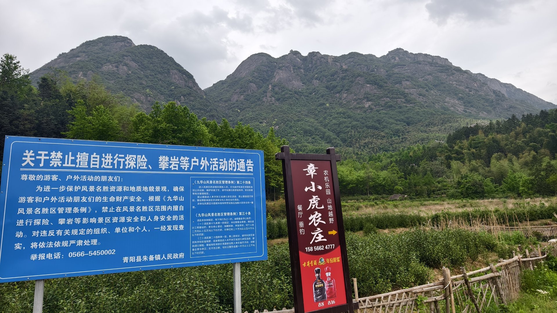IMG_20250419_071906.jpg