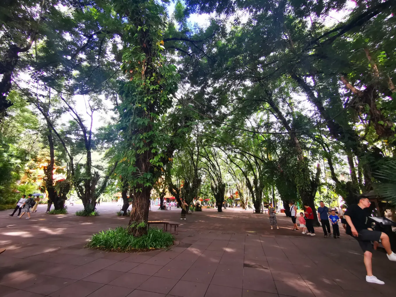 D3  2023/7/31曼听公园—总佛寺