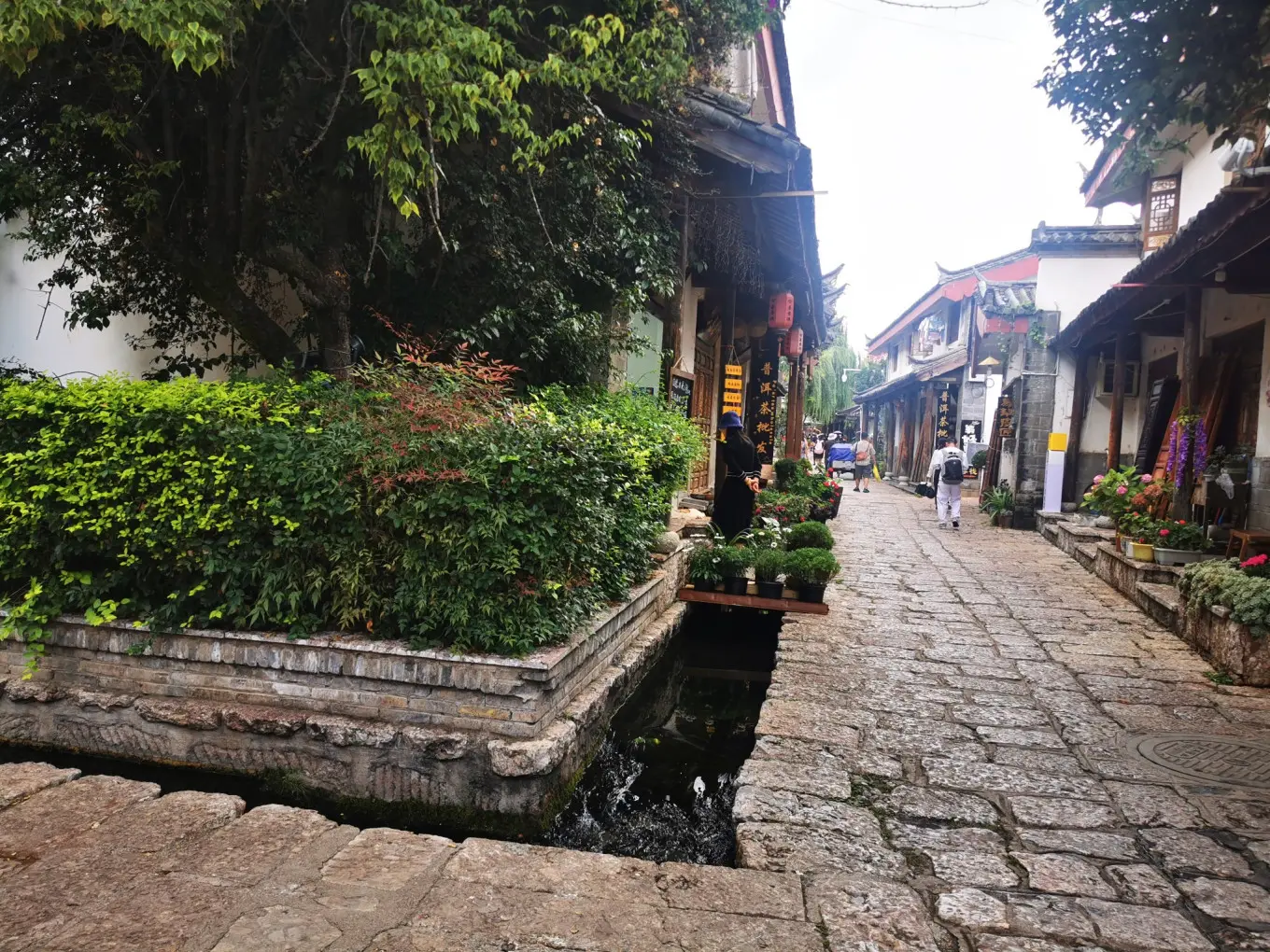 D6 2023/8/3  大理—丽江 白沙、束河古镇