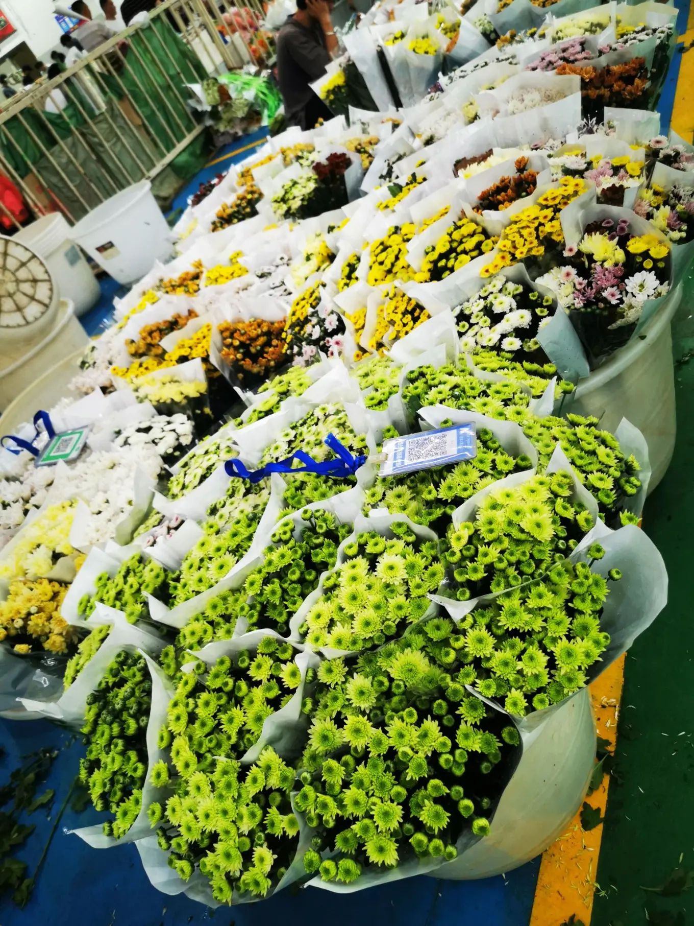 D12 2023/8/9 昆明——斗南花市