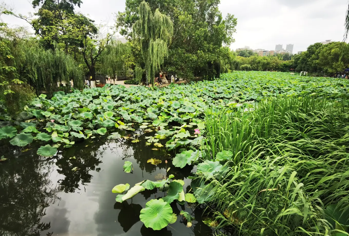 翠湖公园—陆军讲武堂