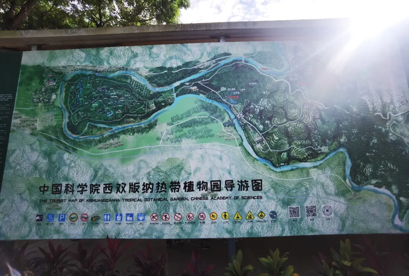 D2 2023/7/30 中国科学院热带植物园