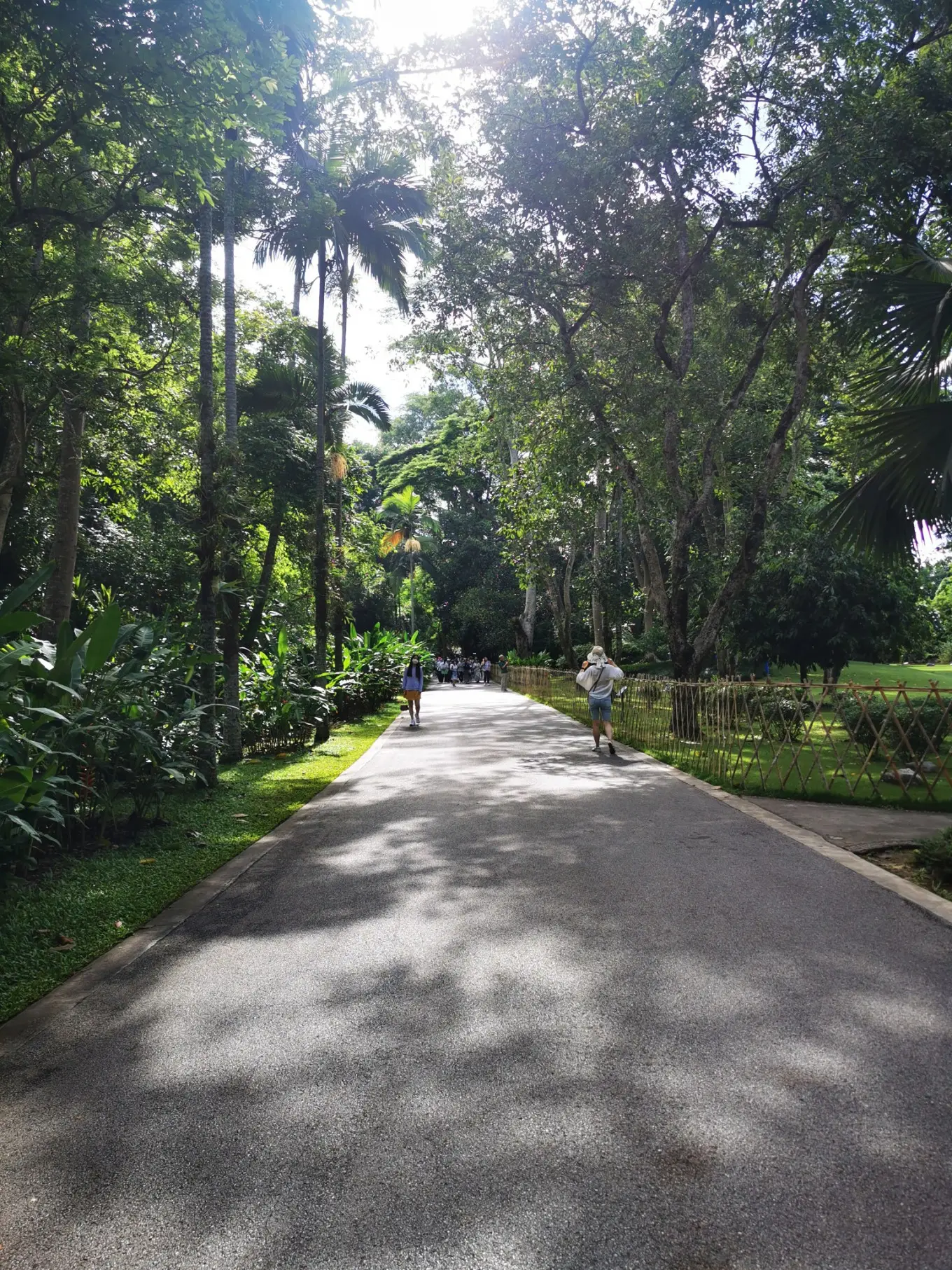 D2 2023/7/30 中国科学院热带植物园