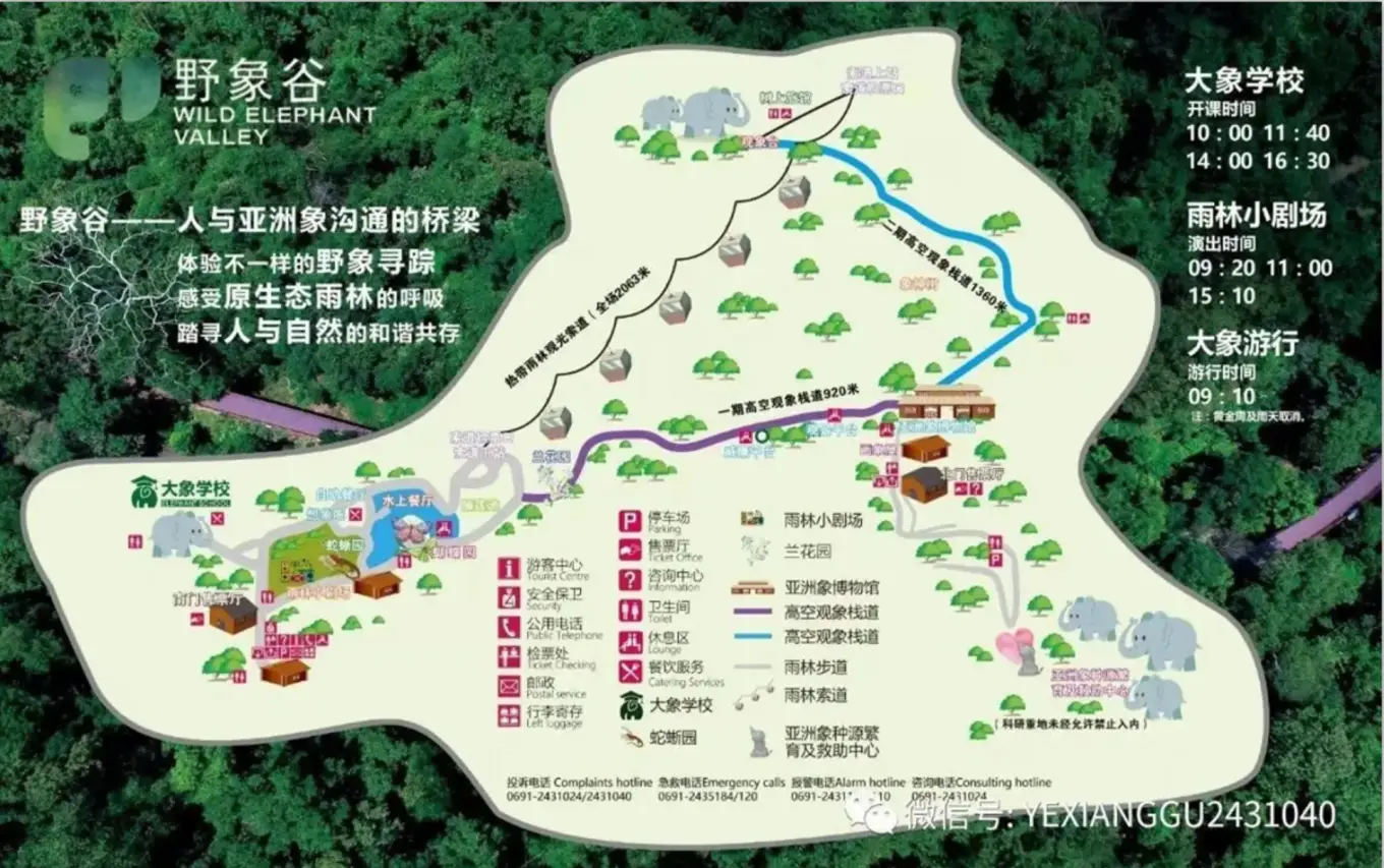 野象谷