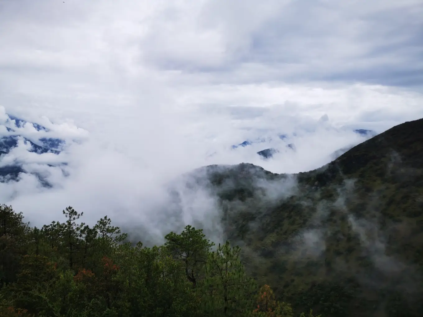 D7 2023/8/4 丽江—虎跳峡