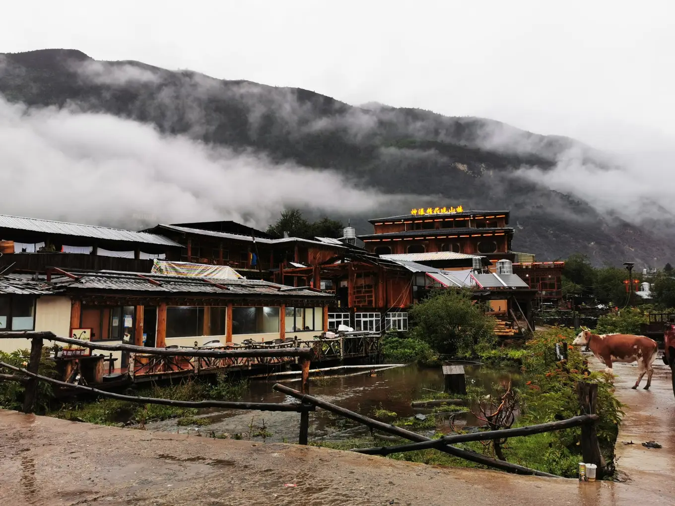 D9 2023/8/6 香格里拉-德钦-西当村-雨崩