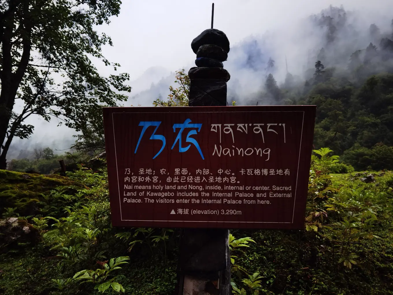 D10 2023/8/7 雨崩徒步—神瀑