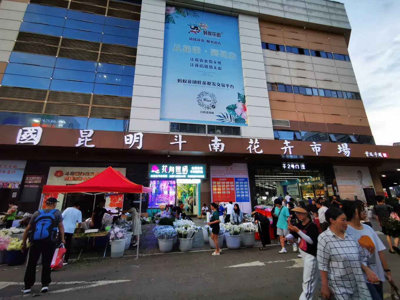 D12 2023/8/9 昆明——斗南花市