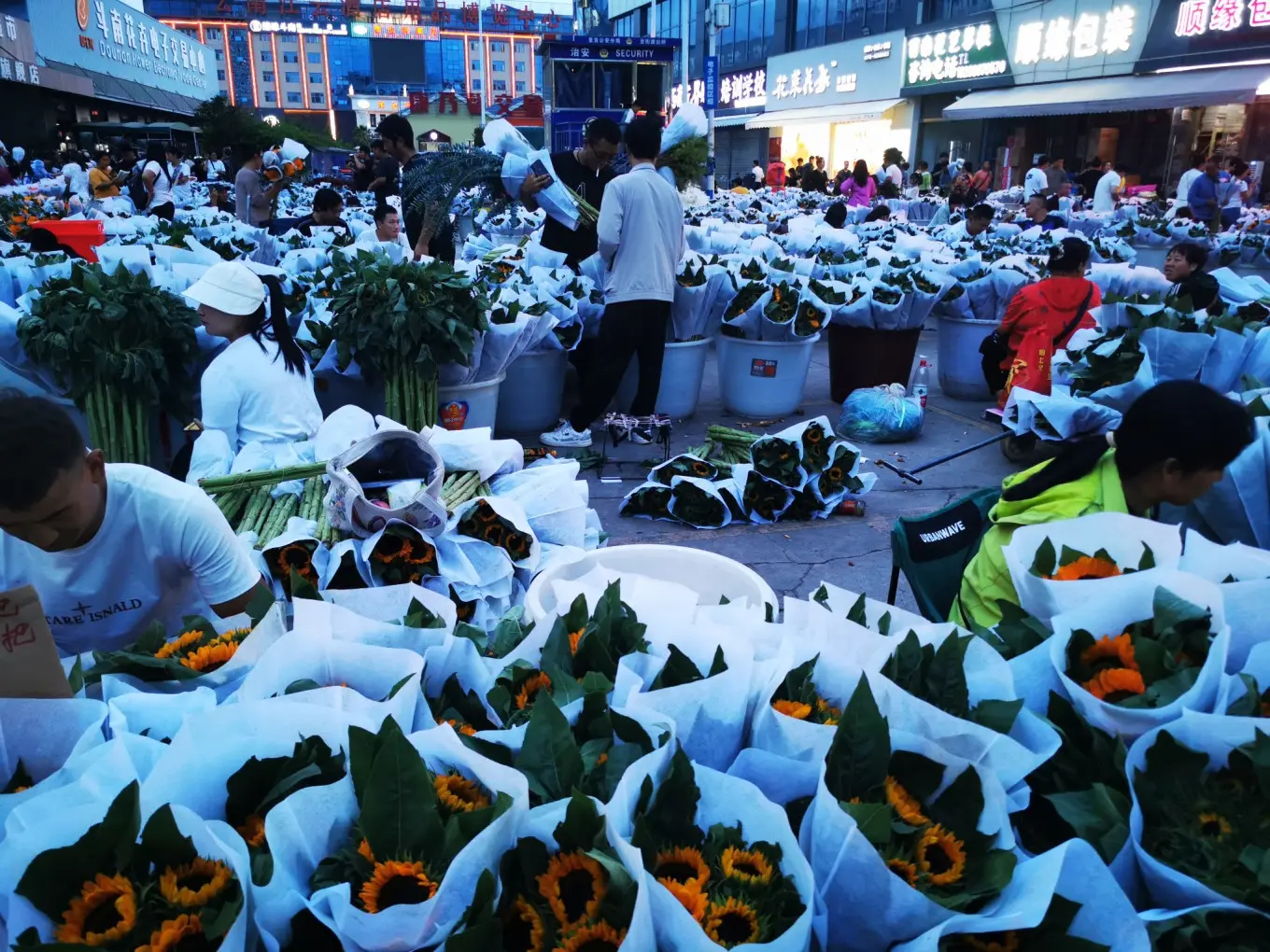 D12 2023/8/9 昆明——斗南花市