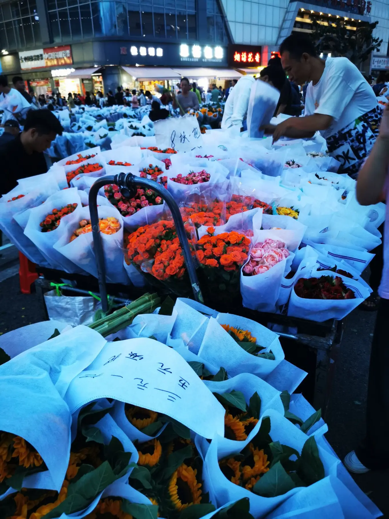 D12 2023/8/9 昆明——斗南花市