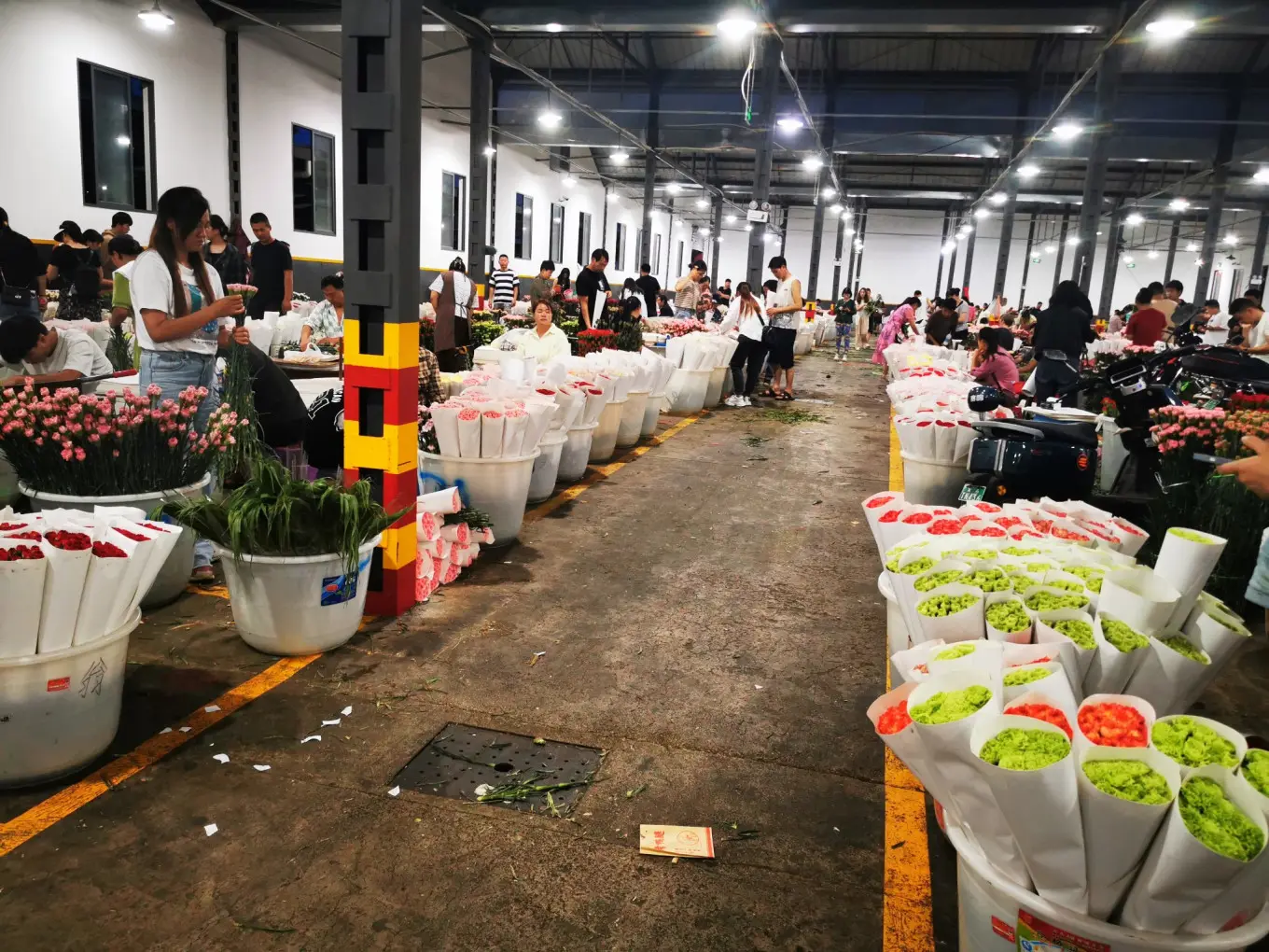D12 2023/8/9 昆明——斗南花市