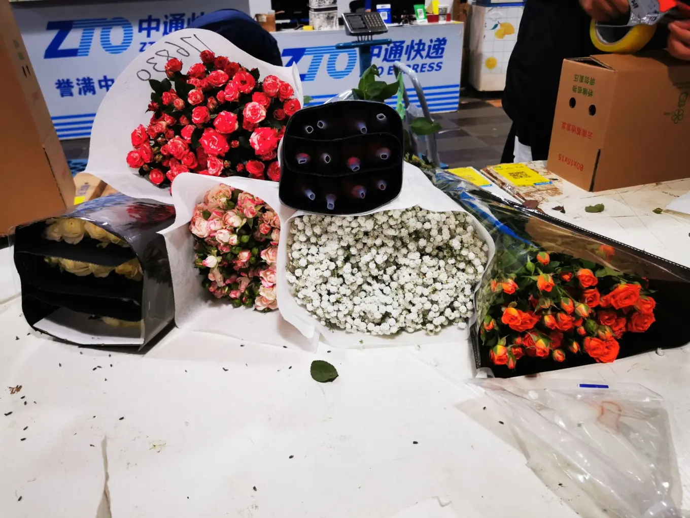 D12 2023/8/9 昆明——斗南花市