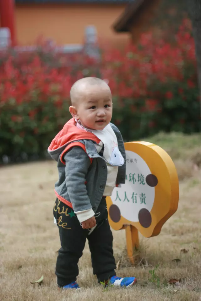 nj_0023.webp