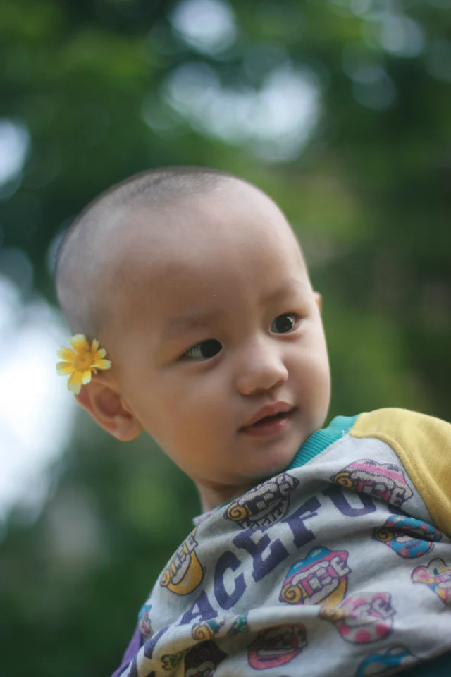 qylyb2_0001.webp