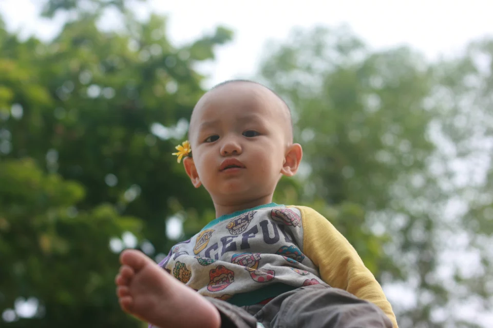 qylyb2_0006.webp