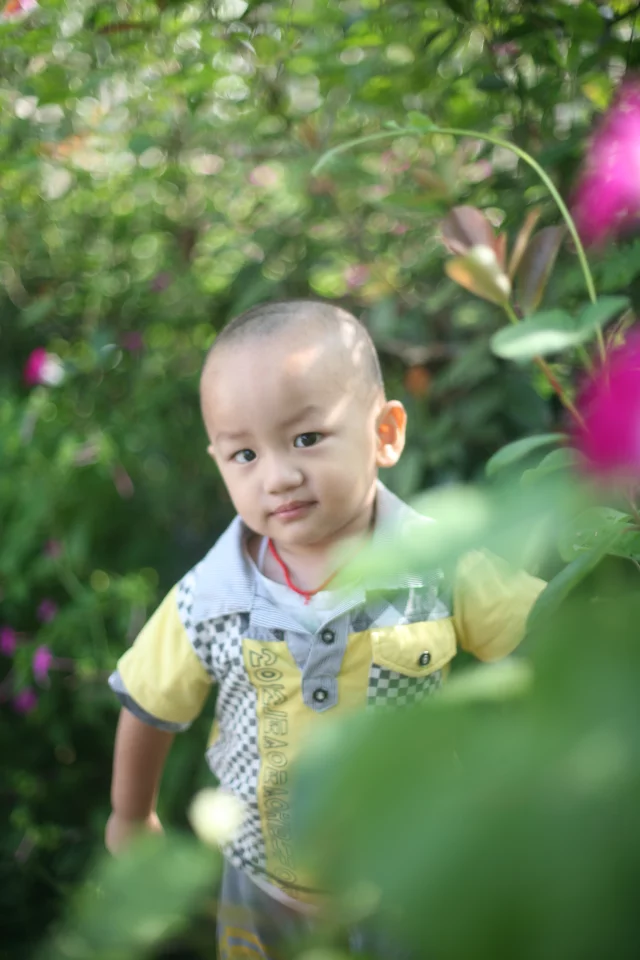 qy34_0026.webp