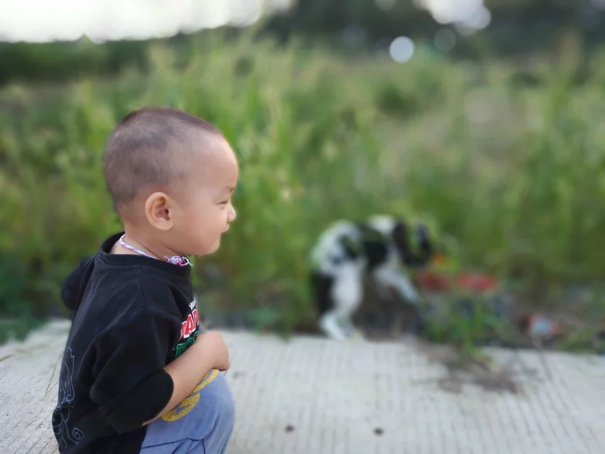 qylyb_0020.webp