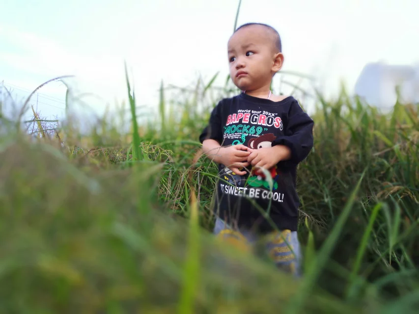 qylyb_0027.webp