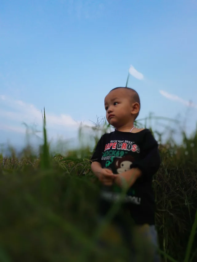 qylyb_0029.webp
