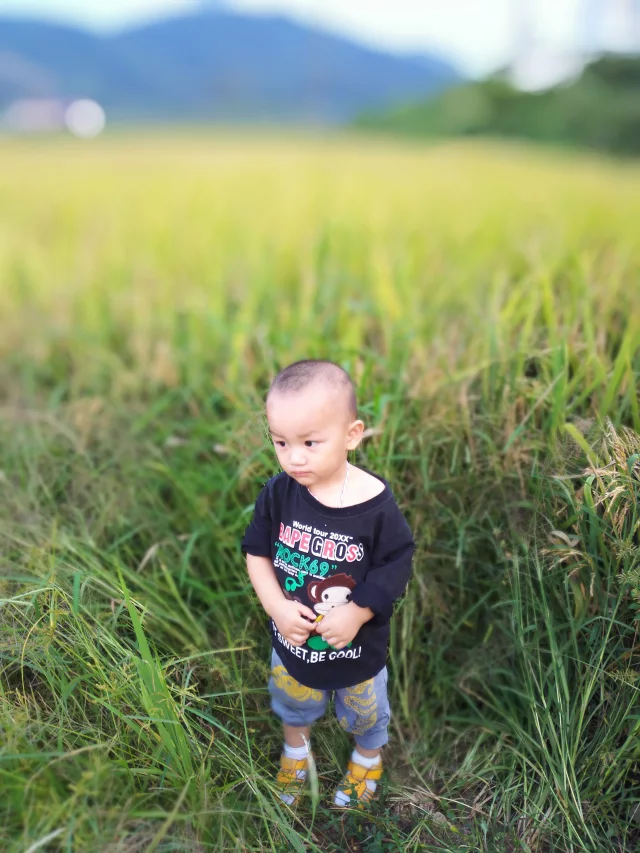 qylyb_0030.webp