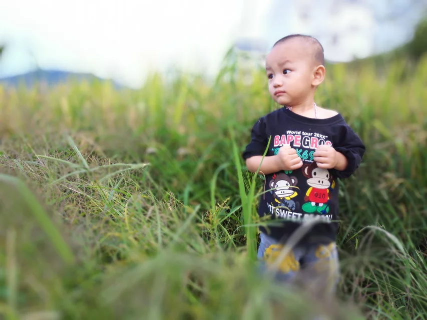 qylyb_0033.webp