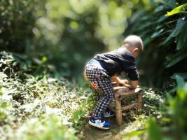 qylyb_0078.webp