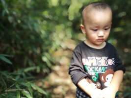 qylyb_0086.webp