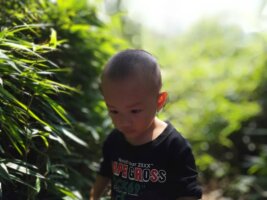 qylyb_0089.webp
