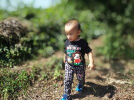 qylyb_0091.webp