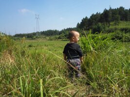 qylyb_0099.webp