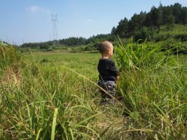 qylyb_0100.webp