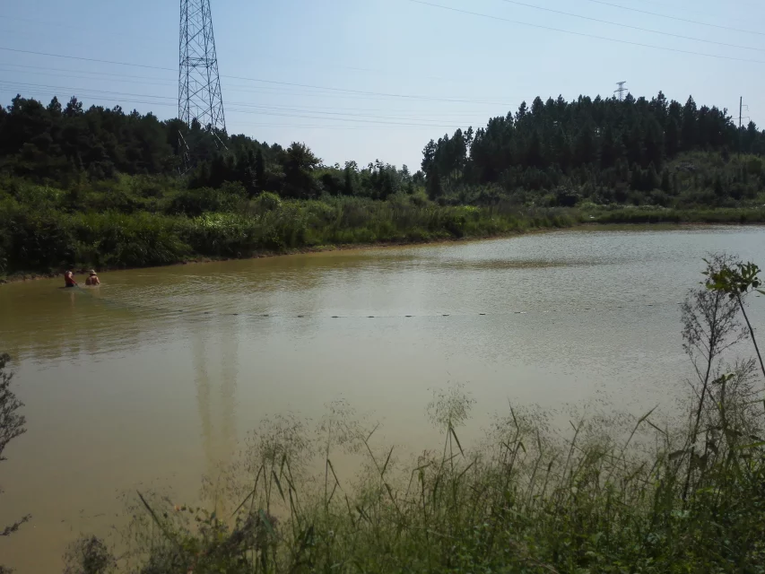 qylyb_0119.webp