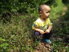 qylyb_0153.webp