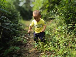 qylyb_0155.webp