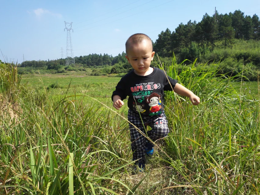 qylyb_0163.webp