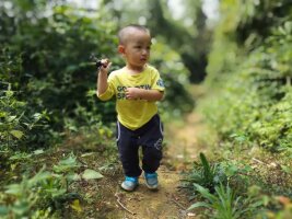qylyb_0217.webp