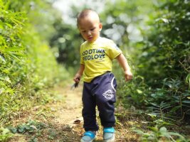 qylyb_0221.webp