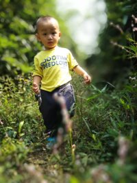 qylyb_0229.webp